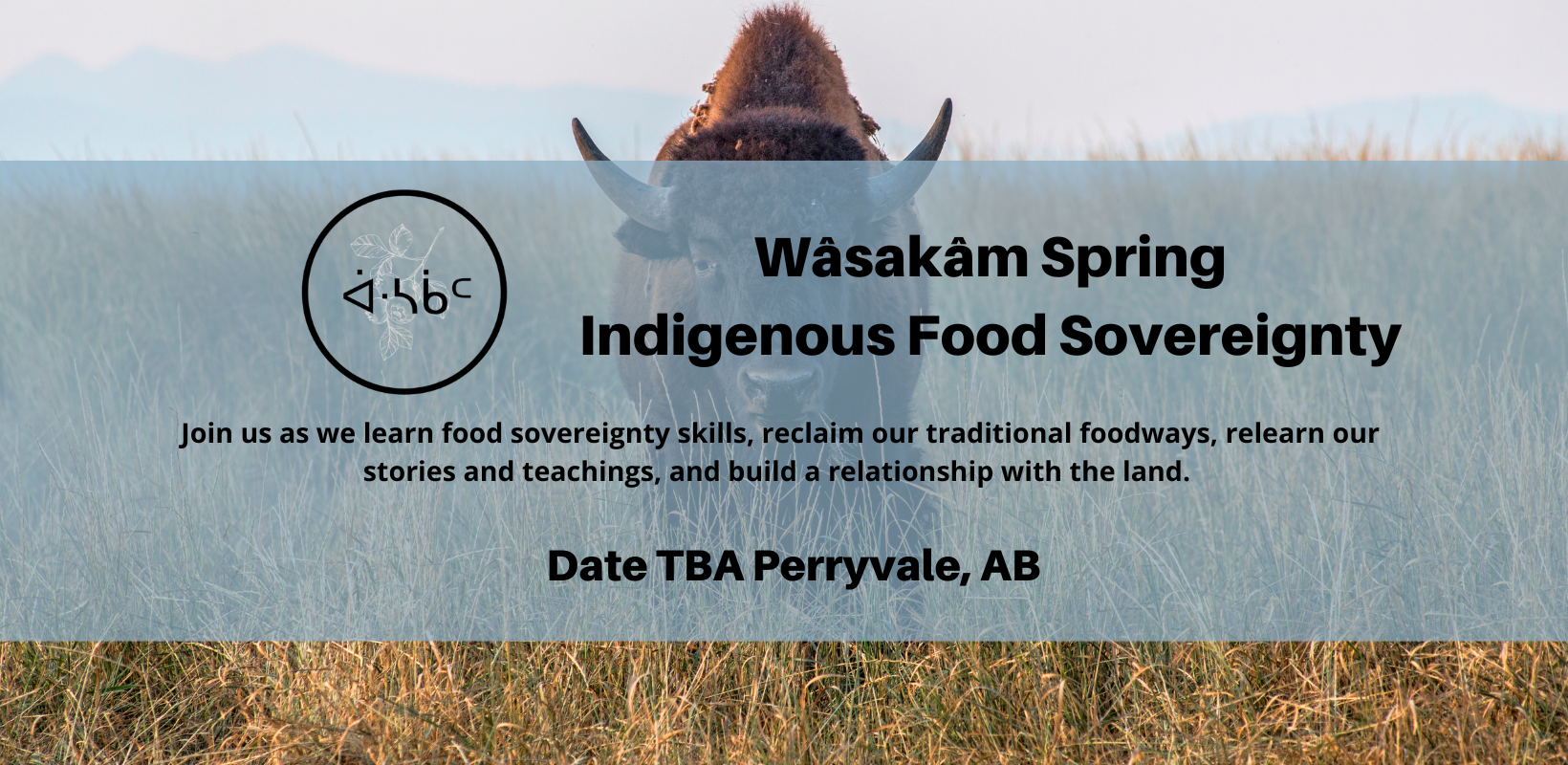 Wasakam Spring Camp Banner